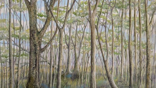 <strong>Miltonrigg woods </strong><br/>Acyclic paint and mixed media on canvas 100cm x 81cm unframed £600