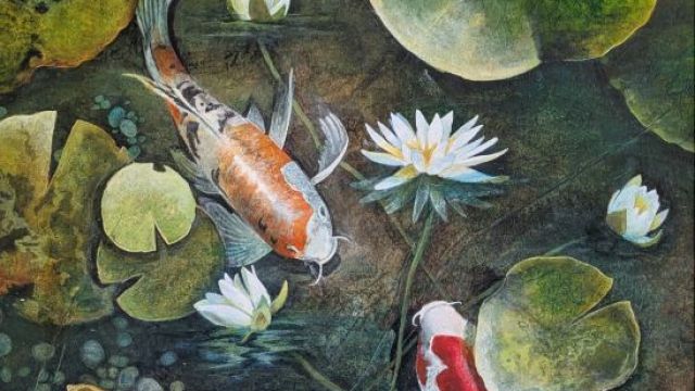 <strong>Boundaries 1</strong><br/>close up view